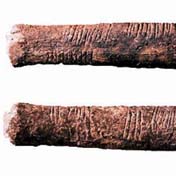 Counting abstract objects